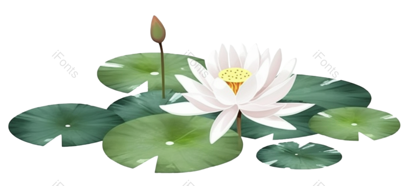 叶子图片,元素元素,荷花PNG,夏天免抠素材